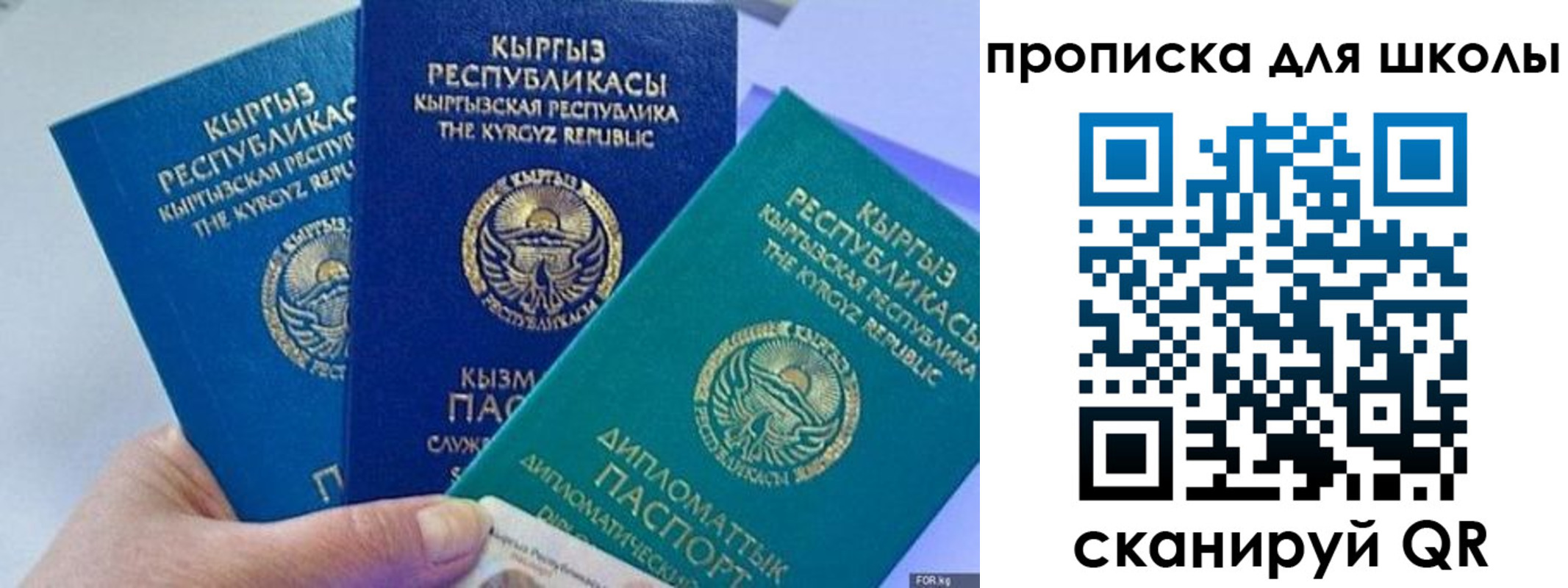 прописка регистрация в Александровске-Сахалинском
